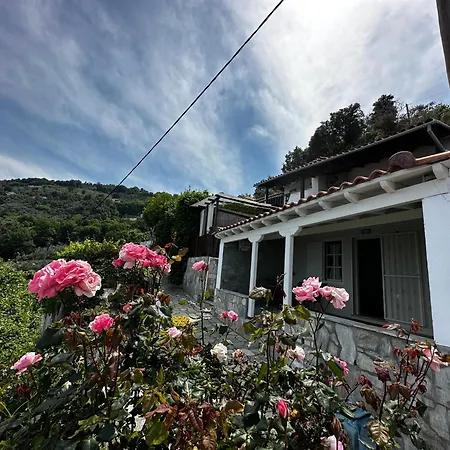 το άσπρο σπίτι Apartment
